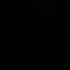 Meet your Posher, Ava